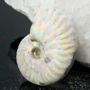 y}_KXJY Ii _zAiCg  ɂ ACg C{[ AiCg   AiCg p[Xg[  VR Y fB[X lC A