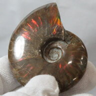 【高品質マダガスカル産 一点物】アンモナイト 化石 虹 アンモナイト Ammonite レインボー アンモライト …