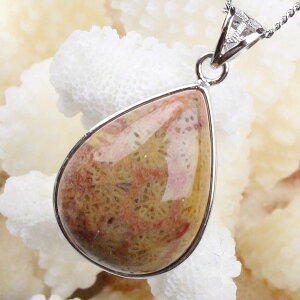 tHVR[ y_gbCoral fossil   X TS R[ tHV lbNX Charm y_g lbNX Vo[ Pendant  `[ Silver NecklacebY Men's f