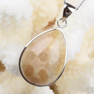 tHVR[ y_gbCoral X TS R[ fossil   tHV lbNX  `[ Charm y_g lbNX Vo[ Pendant Silver NecklacebY Men's f