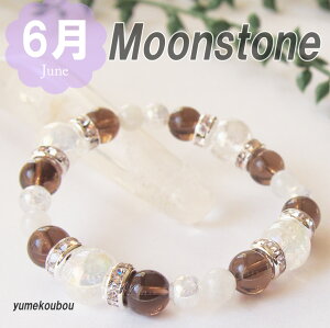 6a [Xg[ uXbg fB[X p[Xg[ ACXIuVfBA  ^  F s av[g Mtg ߍH[ VR J^ 