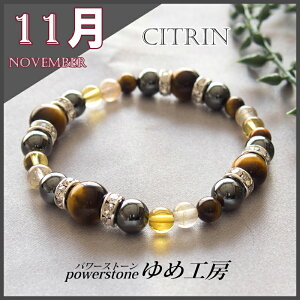 y򉻁EFς݁zyej11^̒a Yzp[Xg[ NANZT[ Vg^ ^ ^  d^ ގ ̓  IWi nhCh i a