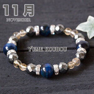 ejuX 11a΂̂ dFuXbg Vg z[NXAC `NH[c w}^Cg Y p[Xg[ d^ ^ ^ AE j A a  