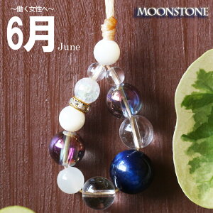 p[Xg[Xgbv fB[X 6a  obOANZT[ v z[NXAC [Xg[ ANAI[ u[ d^ AEj a J^FObY [ 