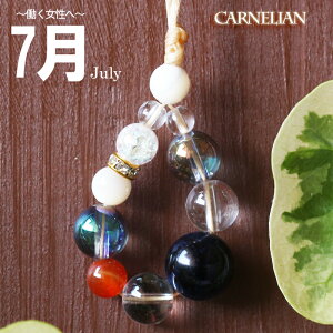 p[Xg[ Xgbv fB[X 7a  obOANZT[ v z[NXAC J[lA ANAI[ u[ d^ AEj a J^FObY [֑