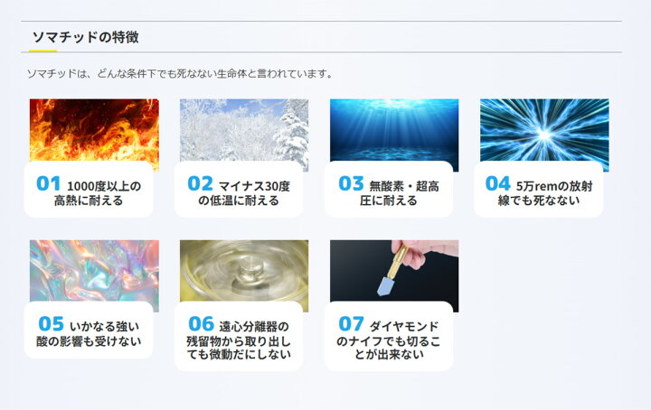 楽天市場】【正規代理店・正規品】奇跡の 古代ソマチッド 粒タイプ 