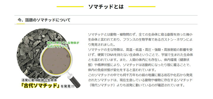 楽天市場】【正規代理店・正規品】奇跡の 古代ソマチッド 粒タイプ 