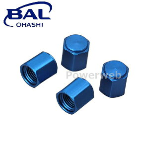 No.1111 勴Y BAL(o) GA[ouLbv A~ u[ 4 ([֔)