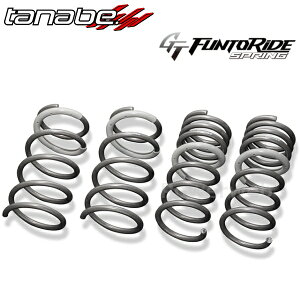 TANABE MXPK11GRFK GT FUNTORIDE SPRING ^ix t@gCh XvO _ETX 1䕪 g^ ANAGRX|[c 2022/11` MXPK11 / FF / 1500 / HV