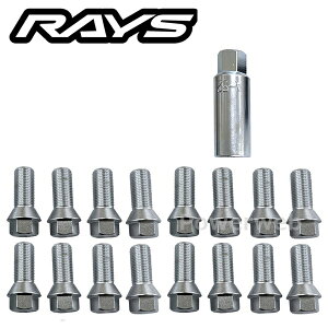 RAYS No,6 �{���g&�A�_�v�^�[�Z�b�g M14×P1.25 17HEX �񉺁F28mm 16�� �N���[�� 61010000006CP