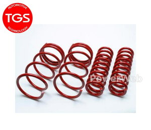 [TGS-465758-00] TGS/X-Fang A`[ XvO vX1C` fJD:5 CV1W (MCO)