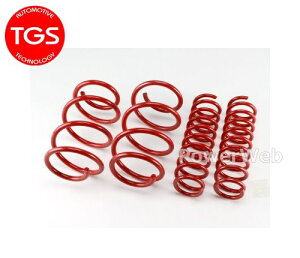 [TGS-380340-00] TGS/X-Fang tgAbvXvO +30mm GNvXNX GK1W (4WD̂)