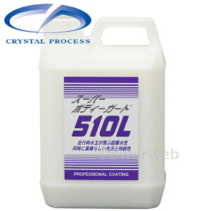 CRYSTAL PROCESS X[p[{fB[K[h 510L R[eBO 2L C01200