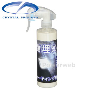 CRYSTAL PROCESS ߃R[eBO Xv[^Cv 300ml C16030