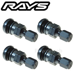 RAYS No.48 EUROPEAN ALUMINUM VALVE RAYS GS �G�A�o���u 4�Z�b�g 65050000075GS [���[����]