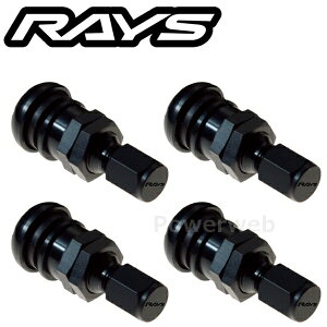 RAYS No.49 EUROPEAN ALUMINUM VALVE RAYS BK �G�A�o���u 4�Z�b�g 65050000076BK [���[����]