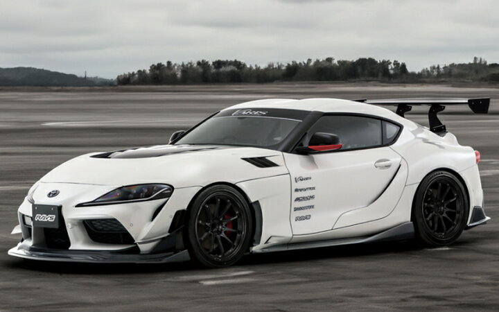楽天市場】RAYS VOLK RACING CE28N-plus 19インチ 8.5J PCD:108 穴数:5 