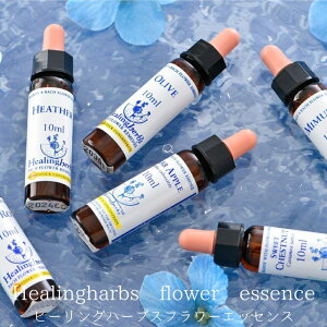 Healing Herbs q[On[uX #1~38 5t[ 39 {Ki t[GbZX 10ml