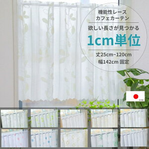 yN[|zz  ōiz25cm120cm 1cm  Iׂ 142cm p JtFJ[e @\[X { UVJbg ՔM ۉ ȃGl ډB 錩ɂ EHbVu