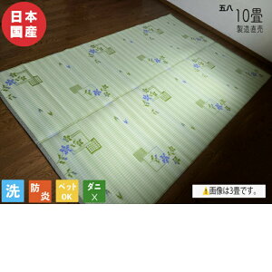 ~ PPO PPJ[ybg O J[ybg h Y {  ~  t[O ۈ牀 ct 􂦂 10 352cm×440cm wZ wۈ ybg q ̈ ЊQ~p