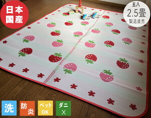 PPO PP O PPJ[ybg J[ybg h Y { 􂦂 ~  t[O ۈ牀 ct 2.5 176cmx220cm wZ wۈ ybg q ̈ ЊQ~p 