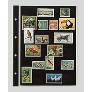 e[W[ RNVAop|Pbg؎PЗp SB-306S