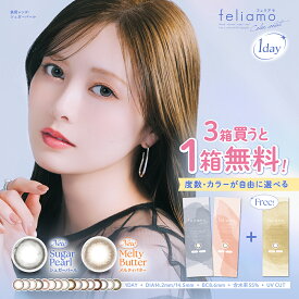 【1箱分無料3箱セット】 カラコン ワンデー 白石麻衣 イメージモデル feliamo フェリアモ ナチュラル カラーコンタクト 14.2mm 14.5mm 度あり 1day 10枚 1日使い捨て カラーコンタクトレンズ フチなし 高度数 小さめ -10.00 -9.00 -9.50 -8.50