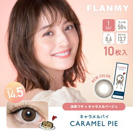 【4箱セット】カラコン ワンデー FLANMY 1day 10枚入り 度あり カラーコンタクトワンデーカラコン 度なし フランミー 佐々木希　人気 大人 送料無料 高含水 ナチュラル ちゅるん フチあり フチなし 裸眼風