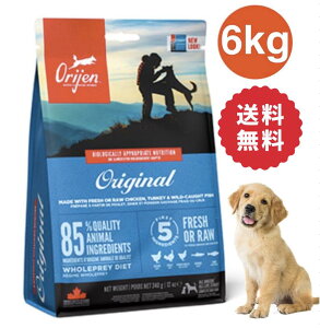 y 5%OFFN[|z Orijen@IW)@hbOt[h IWi 6kg @6LO Ki S SXe[Wp hbOt[h  a q e  V VjA SN p@h{@^