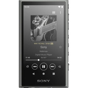 �\�j�[(SONY) �E�H�[�N�}�� 32GB A300�V���[�Y NW-A306 : ���C�����X�ł� �n�C���]���C�����X/�X�g���[�~���O�Ή�/LDAC�EaptX (TM) HD�R�[�f�b�N�Ή�/MP3�v���[���[ / bluetooth/android����/microSD�Ή� �^�b�`