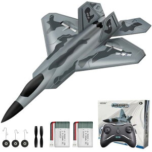 HAWK'S WORK���W�R����s�@�AF-22 RC��s�@�d�� ����ĊȒP�ɔ�΂��� �q���Ə��S�Ҍ����̃��W�R���O���C�_�[