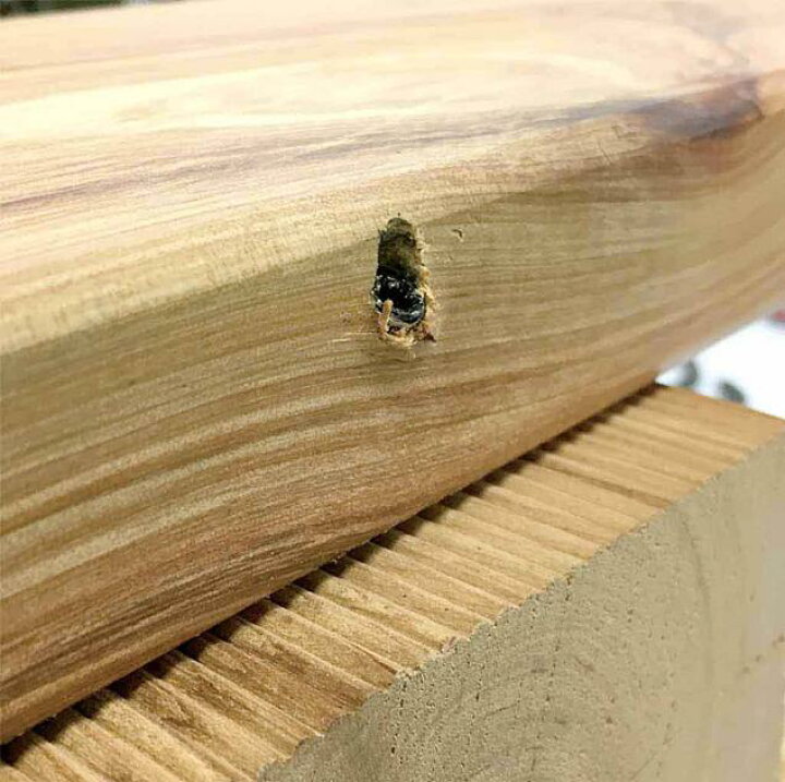 楽天市場】CAMO カモ 専用 ビス セット ウッドデッキ DIY ビス  