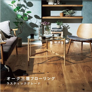 I[NOw XeBbN UVICh IC E^ NA h t[O Ow zCgI[N I[NtA mx[V tH[ }V DIY P[X 1 y ݌vi 