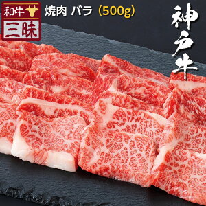 _ˋ o Jr ē 500g  | ēp O v[g Mtg Hi   _˃r[t  Y Ԃ Zbg ؂藎Ƃ јa Ă o[xL[ j 蕨  u