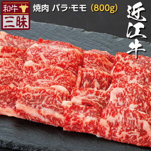 ߍ] o Jr  ē 800g  | ēp O v[g Mtg Hi    Y Ԃ  Zbg ؂藎Ƃ XCX јa An Ă bbq j 蕨 