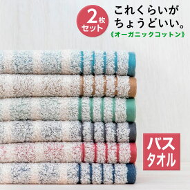 バスタオル 泉州タオル ナチュラル ボーダー 2枚セット | 日本製 ギフト タオル 泉州 プレゼント セット タオルセット 吸水 ギフトセット タオルギフト お祝い お返し コットン 泉州バスタオル お礼 贈答 オーガニック 日用品 内祝い 綿100