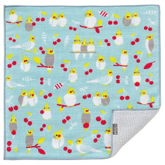 オカメインコとチェリー