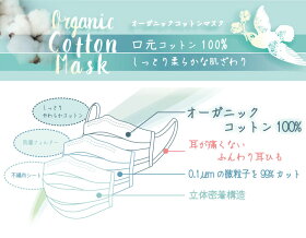 オーガニックコットンマスク&抗菌3ポケットマスクケースセット