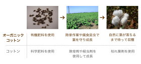 5重織ガーゼタオルギフトセットハンカチ3Pオーガニックココットン使用|出産祝い出産内祝お返しお礼ご挨拶ギフトプレゼントプチギフト内祝い出産セットタオルギフトのしかわいい赤ちゃんベビータオル国産タオルセット結婚祝い結婚内祝い【GIFT】