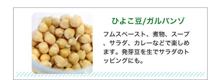 93円 超お買い得 オーガニックシード 有機種子 ひよこ豆 ガルバンゾ スプラウト 30g 周年まき