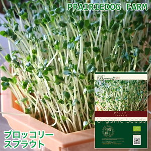 ubR[ XvEg ̎ I[KjbN L@q Lb`t@[ At@t@ k͔| ŃxW ^ N܂ ƒ؉ | Mtg ubR[XvEg Lb` 