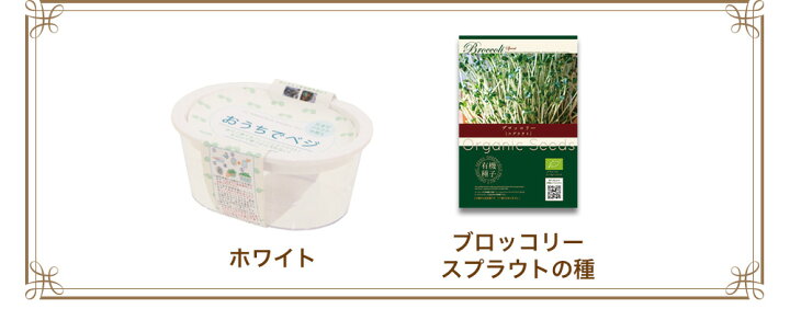 楽天市場】ブロッコリー スプラウト の種と栽培容器のセット オーガニック 有機種子 キッチンファーム かいわれ型 ブロッコリースプラウト 水耕栽培 発芽豆 おうちでベジ 家庭菜園 | ギフト プチギフト ちょっとした プレゼント 女性 栽培キット 送別会 退職 室内 花以外 ... 楽天市場】ブロッコリー スプラウト の種と栽培容器のセット オーガニック 有機種子 キッチンファーム かいわれ型 ブロッコリースプラウト 水耕栽培 発芽豆 おうちでベジ 家庭菜園 | ギフト プチギフト ちょっとした プレゼント 女性 栽培キット 送別会 退職 室内 花以外 ...