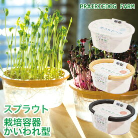 楽天市場 水耕栽培 野菜の通販