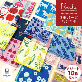 【SALEクーポン】今治タオル ハンカチ 3重ガーゼ 10枚セット Pocchi 日本製 | プレゼント 女性 プチギフト ギフト お返し かわいい おしゃれ 今治 お礼 レディース タオルハンカチ ハンカチタオル ハンドタオル ミニタオル ガーゼハンカチ セット ちょっとした