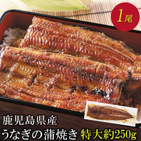 楽天市場 鹿児島県産 うなぎの通販 楽天市場 鹿児島県産 うなぎの通販