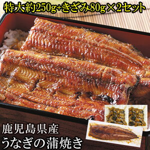 Y ȂĂ 1 ƍ݂Ȃ Zbg  | v[g Mtg j   EiM  V Ȃ Y V̊ YV Ђ܂Ԃ 蕨  Ă 