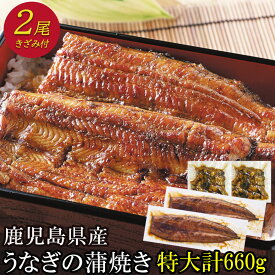 楽天市場 鹿児島鰻の通販