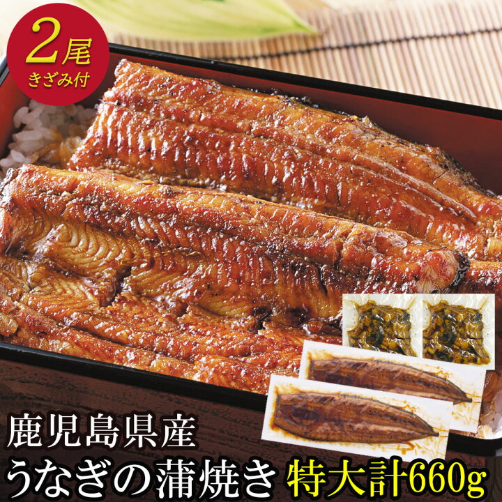 市場 国産うなぎ蒲焼 うなぎ 鰻 うなぎの蒲焼 2尾 国産うなぎ 鰻の蒲焼き 魚 ×2 ウナギ 大 鰻の蒲焼 国産 セット 鹿児島 パック 冷凍 市場 国産うなぎ蒲焼 うなぎ 鰻 うなぎの蒲焼 2尾 国産うなぎ 鰻の蒲焼き 魚 ×2 ウナギ 大 鰻の蒲焼 国産 セット 鹿児島 パック 冷凍
