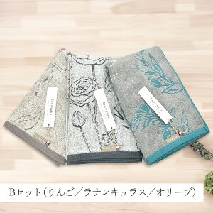 Taoyaka ^I oX^I ԕ | {  v[g    100 z  Rbg^I ӂӂ oX uh  l 킢 AMtg A oYj 