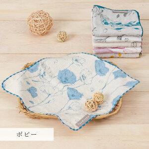 Taoyaka 4dK[[nJ` { 100% | Jȕ炵  v[g  Y { xr[ Ԃ Rbgӂӂ 炩 uh K[[ nJ`킢 Ƃ Mt